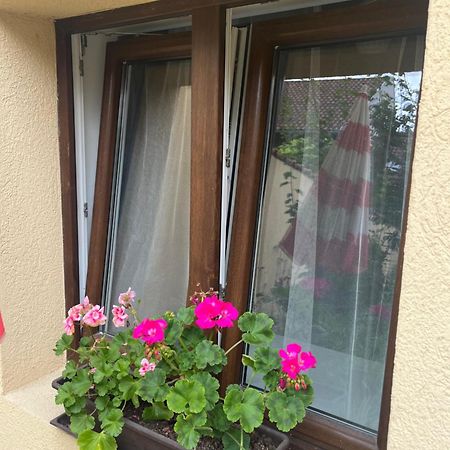 Kerti Franciaagyas Apartman Vác Exterior foto